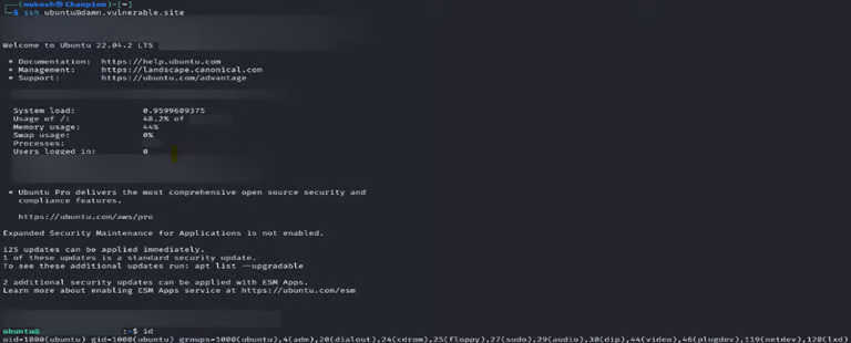 Unauthorized Server Access