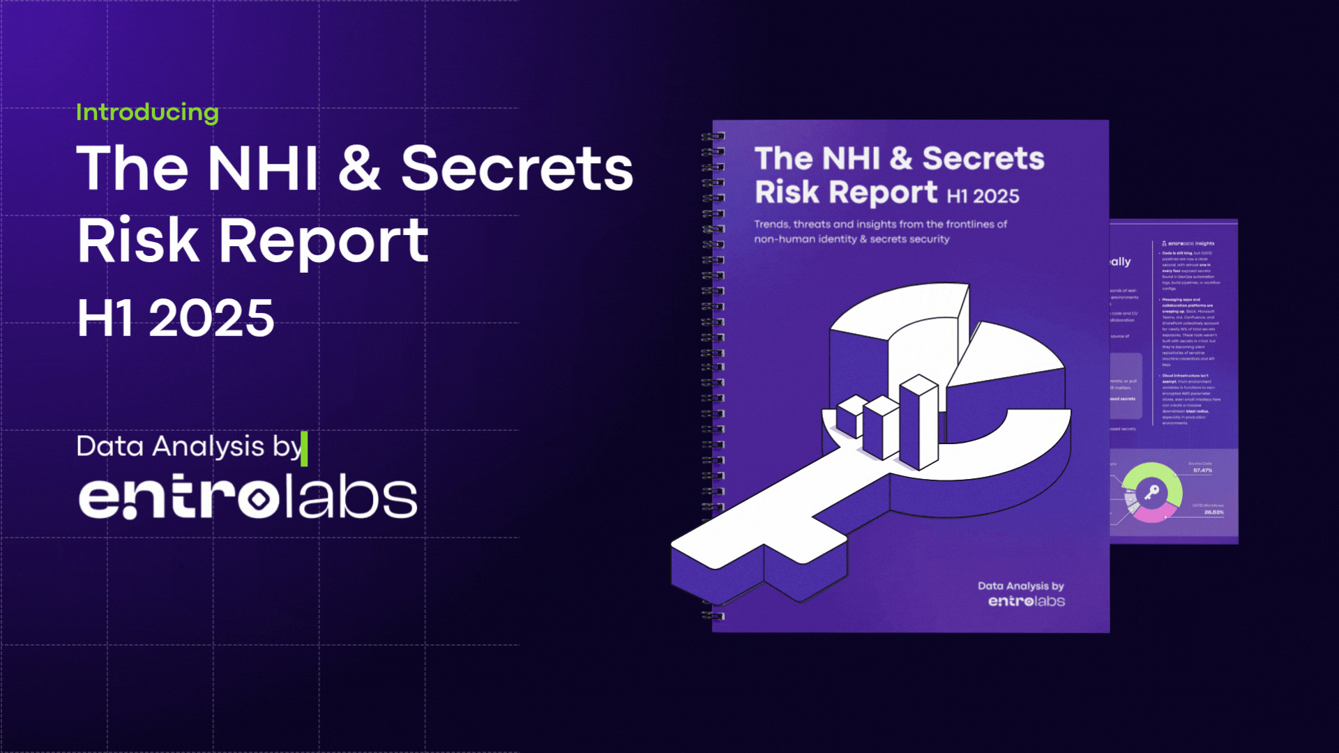 The NHI & Secrets Risk Report