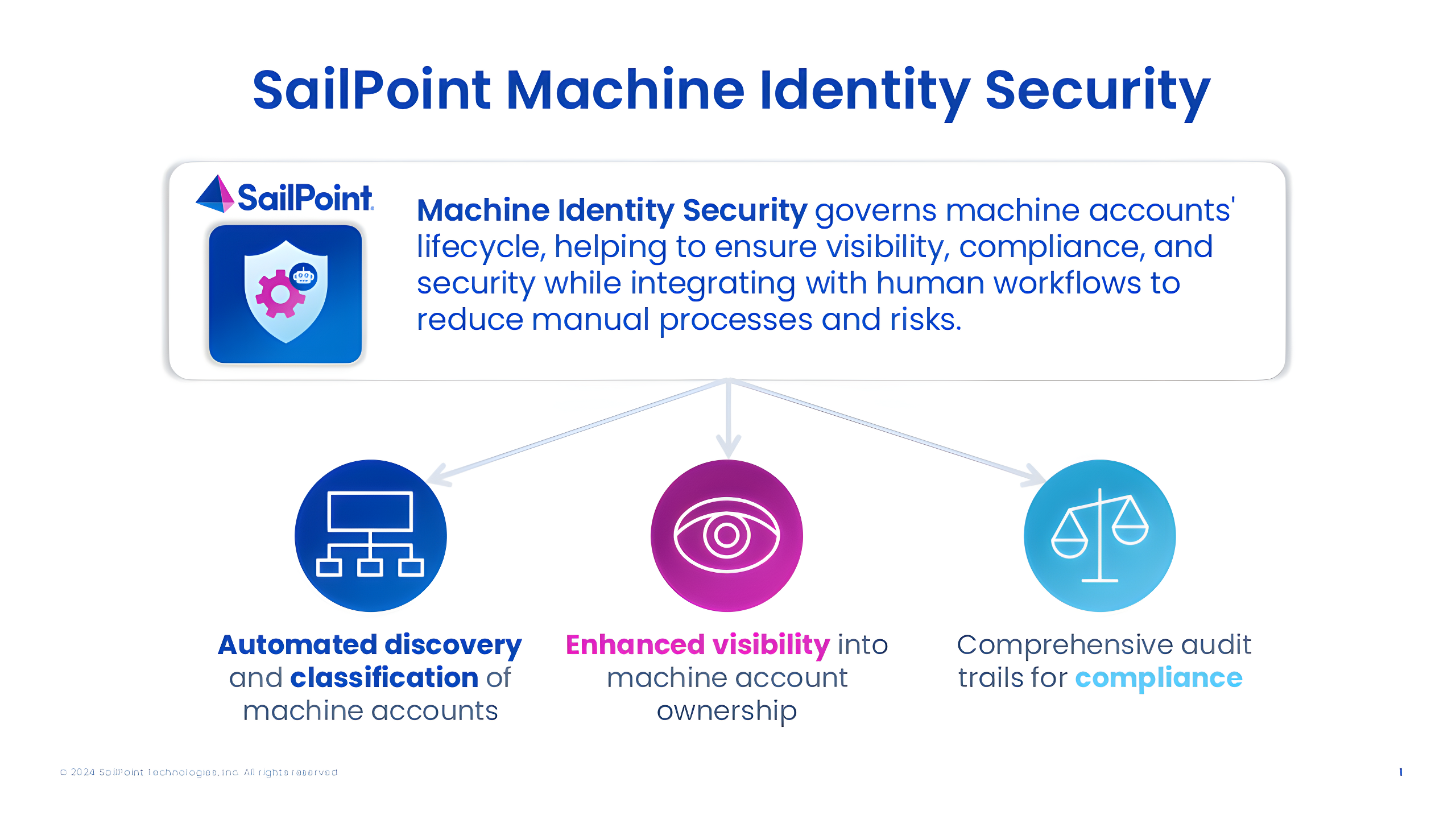 Sailpoint Image for Non-Human Identity Management Group Company Page