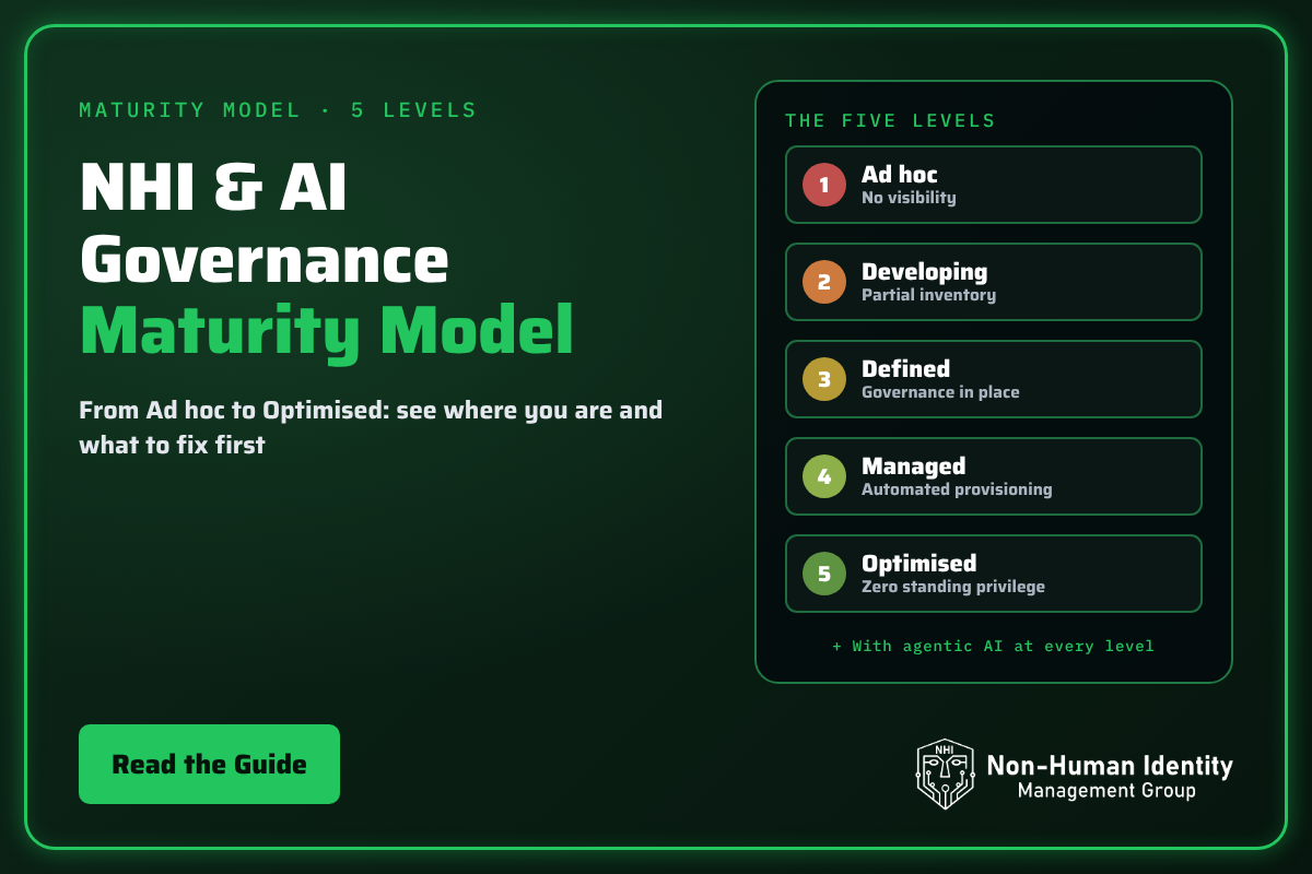 NHI & AI Governance Maturity Assessment